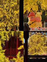 南京銀杏天花板毗盧寺金色風暴美到窒息！