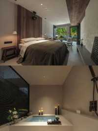 25℃的夏天！四明山雲自泊民宿藏進森林氧吧！