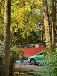 漫步詩歌裡成都浣花溪公園的神仙玩法