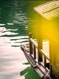 在鹽官,採集秋日金箔紙