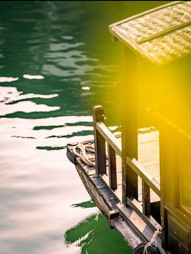 在鹽官,採集秋日金箔紙 在鹽官,採集秋日金箔紙