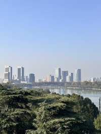 這可能是我在南京花得最值得的15塊錢…