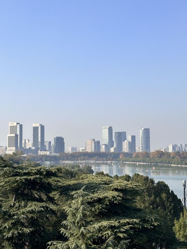 這可能是我在南京花得最值得的15塊錢…