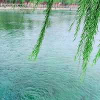 河南藏着個「北方小西湖」！7點前免費逛，1.5h直達玻璃泉