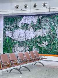 香港西九龍站候車廳美到誤高鐵！建築黨狂喜