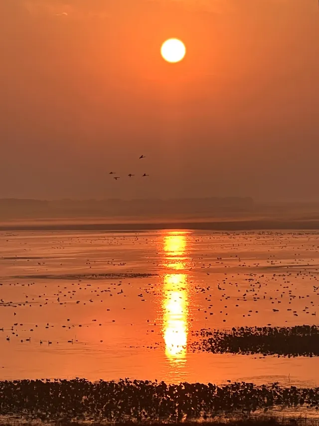 大膽預測，這裡將成為江西下一個頂流旅行地