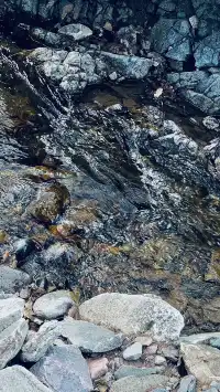 太原周邊｜把生活調成治癒模式