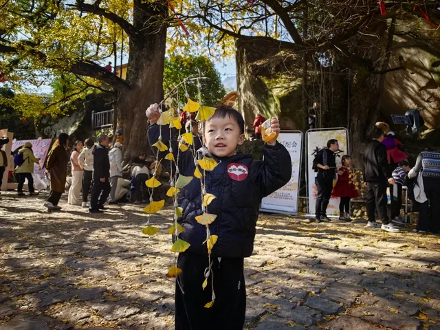 南惹千年銀杏樹已進入最佳觀賞期古村+古樹 南惹千年銀杏樹已進入最佳觀賞期古村+古樹