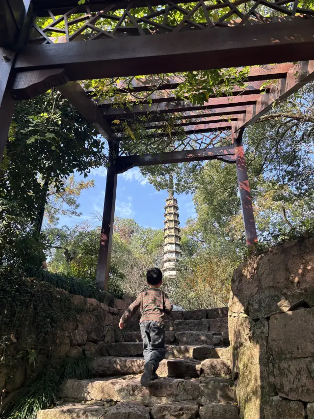 Gushan Park｜A Hidden West Lake Gem Loved by Hangzhou Locals