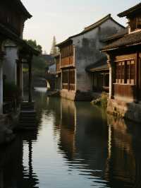 烏鎮烏村親子慢遊磨豆漿+餵萌寵+科技館遛娃！