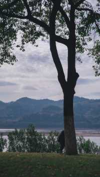 宜昌濱江:在長江岸線,邂逅老工業與深秋的詩意共鳴