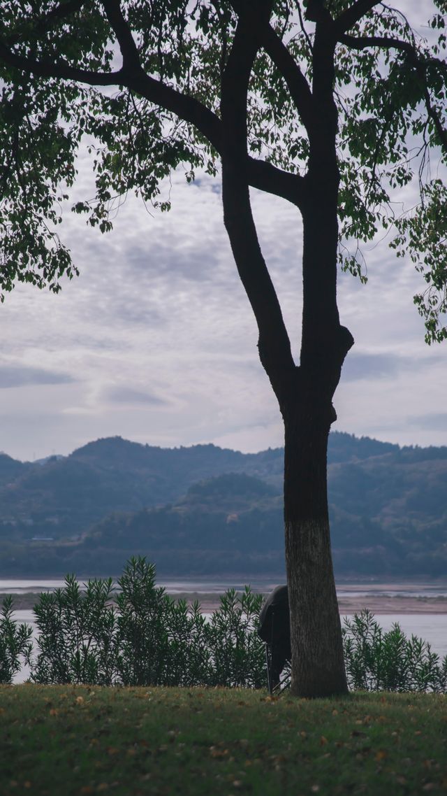 宜昌濱江:在長江岸線,邂逅老工業與深秋的詩意共鳴 宜昌濱江:在長江岸線,邂逅老工業與深秋的詩意共鳴