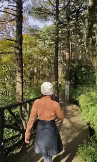 輕鬆拿下三清山大大大環線附保姆級攻略！