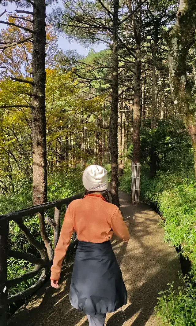 輕鬆拿下三清山大大大環線附保姆級攻略！