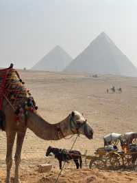 埃及10日遊秋天去簡直不要太爽