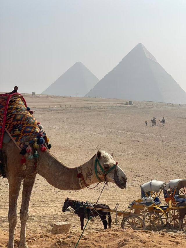 埃及10日遊秋天去簡直不要太爽
