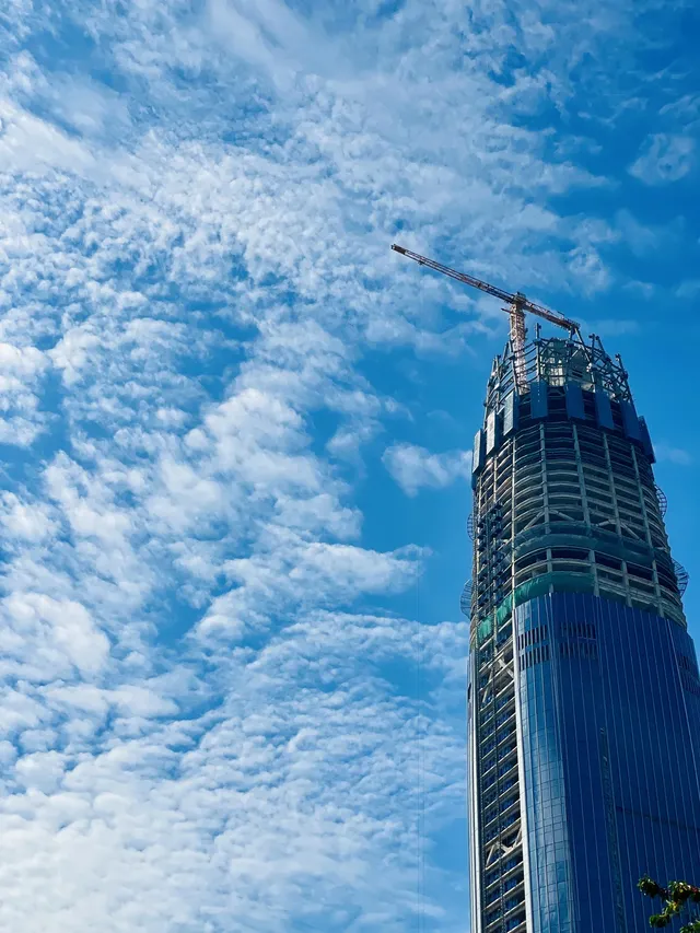 深圳又多一個週末遛娃、海邊徒步的好去處 深圳又多一個週末遛娃、海邊徒步的好去處