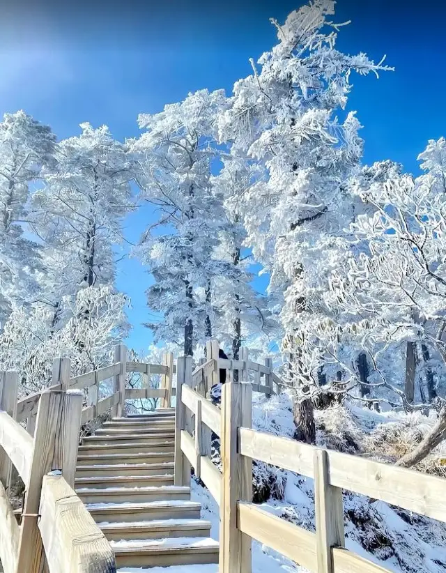 四川這兩個景區最新通告