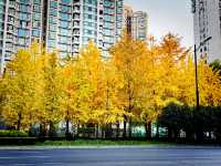 都市中的秋日詩篇