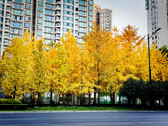 都市中的秋日詩篇 都市中的秋日詩篇