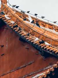 洛陽-鄭州3天遊攻略｜秋天去這倆地兒 值哭了