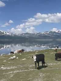 蒙古|6日秋遊出行攻略