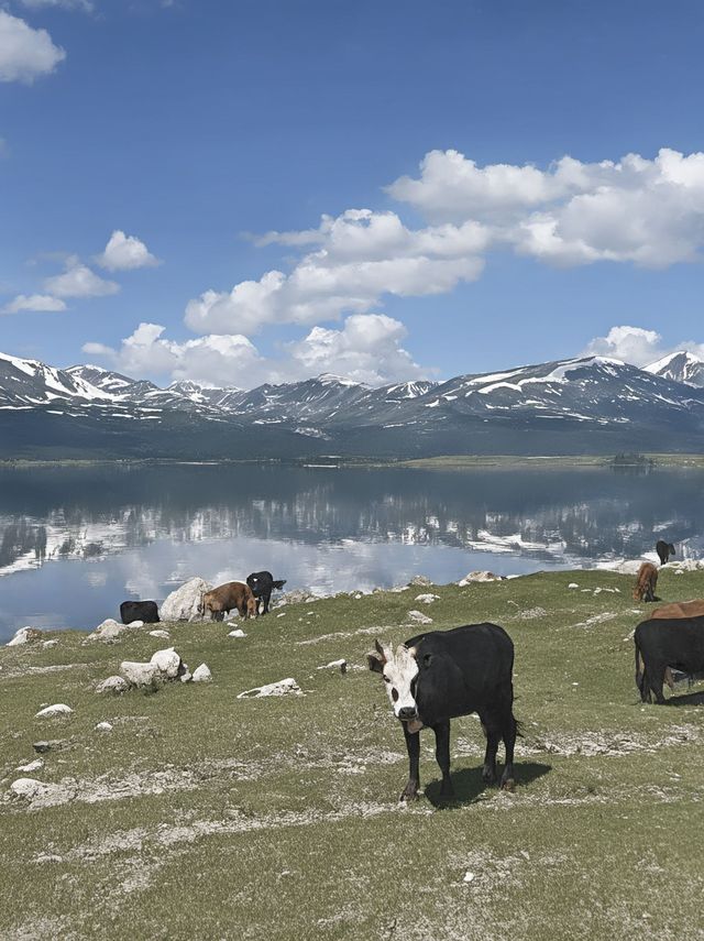 蒙古|6日秋遊出行攻略 蒙古|6日秋遊出行攻略