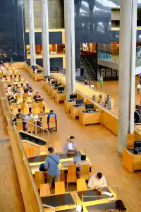 亞歷山大圖書館