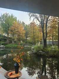 蘇州秋色這樣拍太絕了