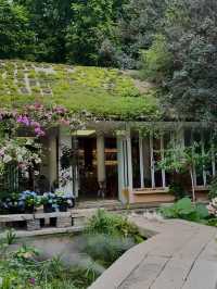 城市中心的氧吧🫧