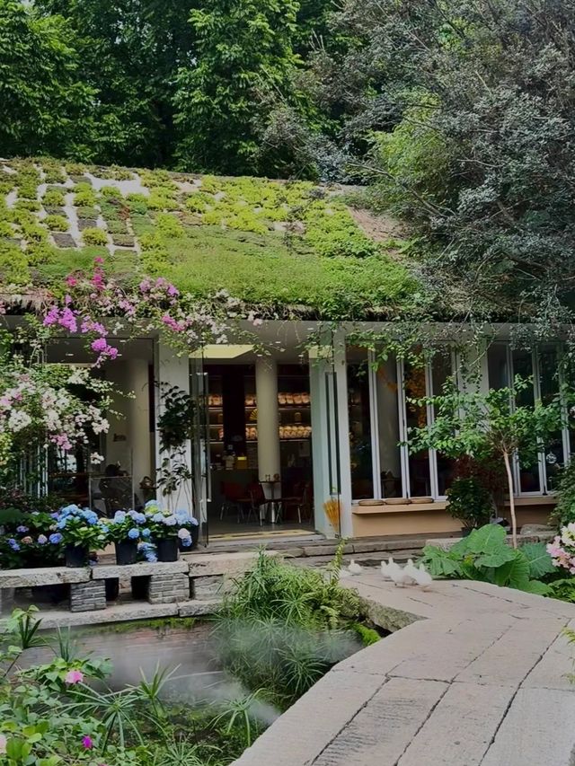 城市中心的氧吧🫧 城市中心的氧吧🫧