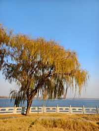 泰山天頤湖免費打卡攻略