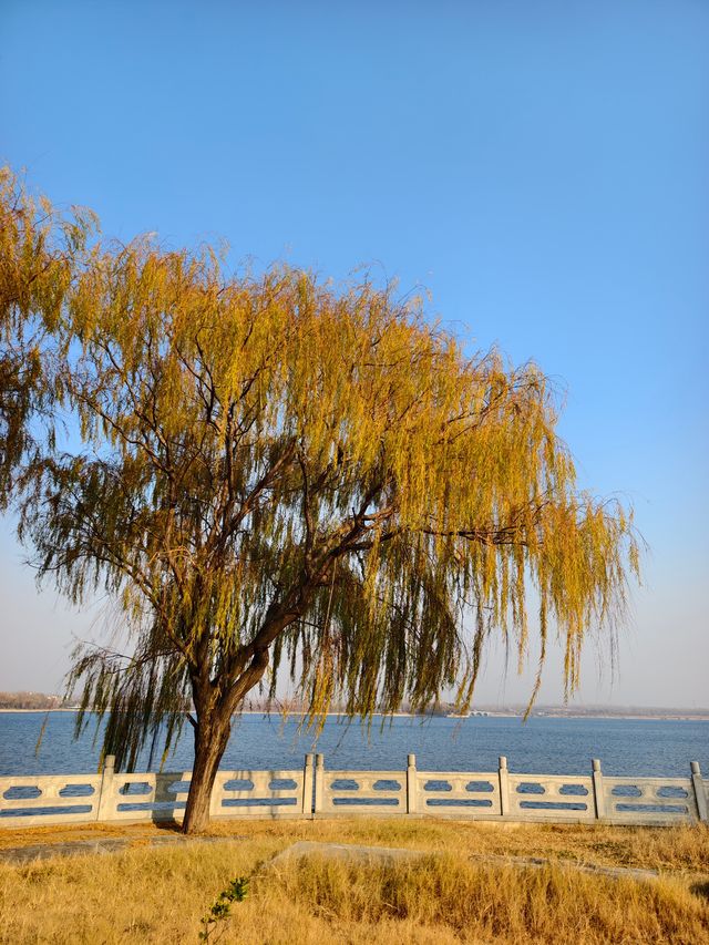 泰山天頤湖免費打卡攻略 泰山天頤湖免費打卡攻略