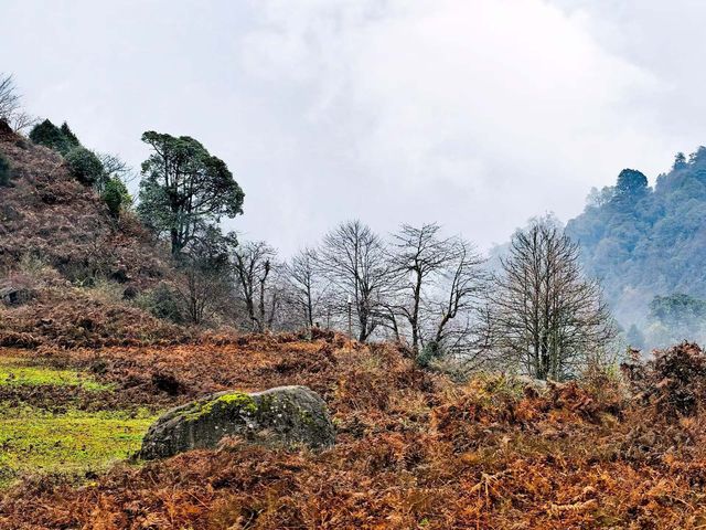 神秘的黑竹溝 神秘的黑竹溝