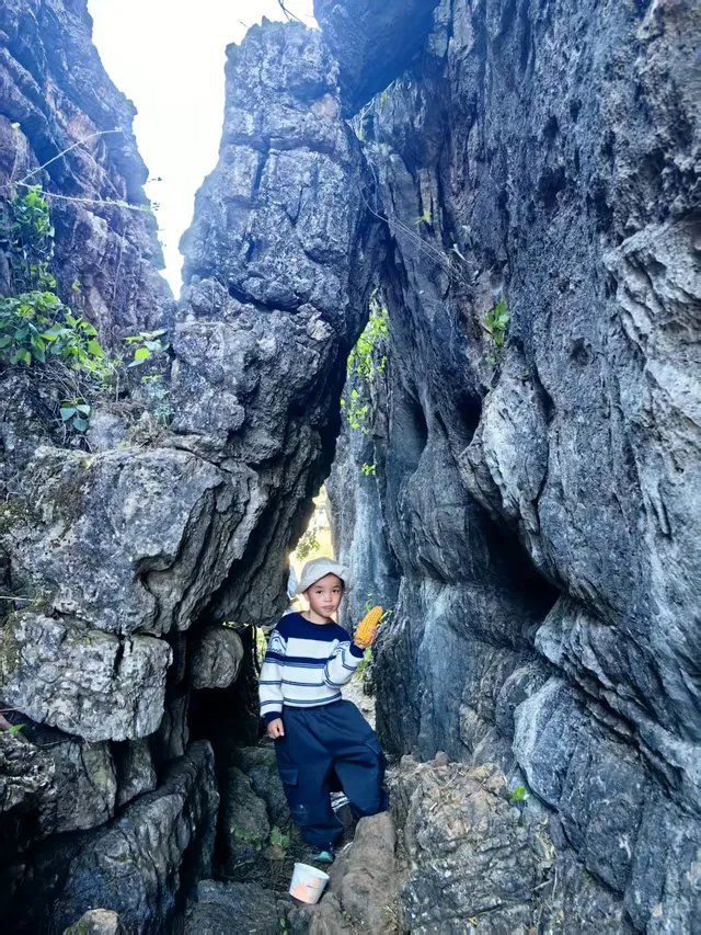 季節限定|雲南獨有的水上石林 季節限定|雲南獨有的水上石林