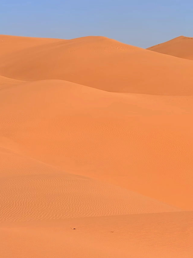 高鐵開通前衝!烏海這顆西北遺珠,沙海共生美到窒息 高鐵開通前衝!烏海這顆西北遺珠,沙海共生美到窒息