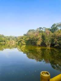 【韶關紅葉季】韶州公園漫步指南童話世界的調色盤在這裡!