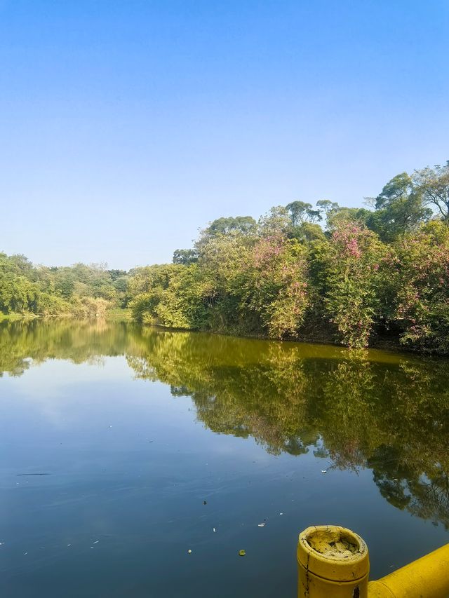 【韶關紅葉季】韶州公園漫步指南童話世界的調色盤在這裡! 【韶關紅葉季】韶州公園漫步指南童話世界的調色盤在這裡!