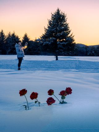 I will probably never forget the winter in Mohe for the rest of my life