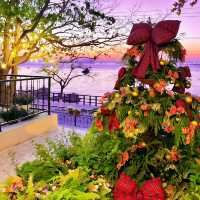 與小鹿撞個滿懷,不必遠赴北歐.·*