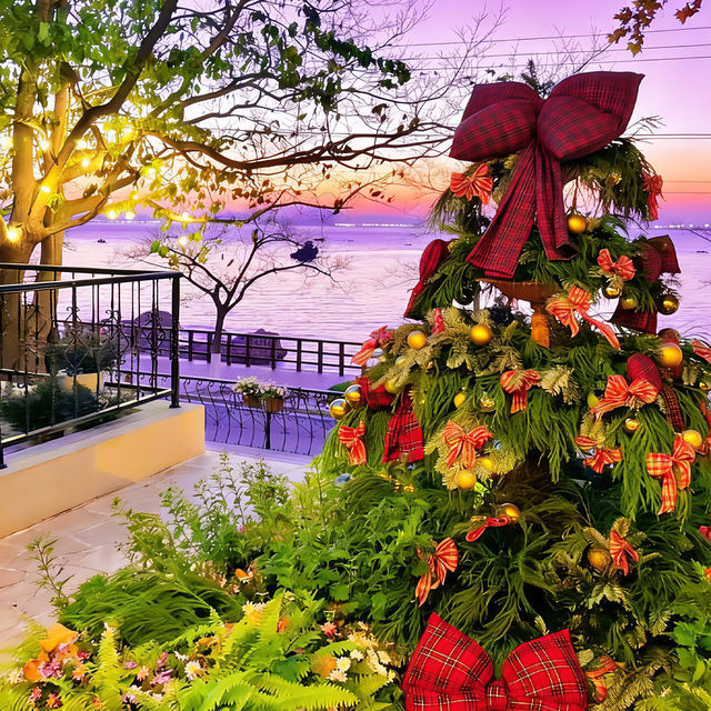 與小鹿撞個滿懷,不必遠赴北歐.·* 與小鹿撞個滿懷,不必遠赴北歐.·*