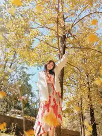 我的廣西北海 涠洲島 桂林 陽朔之旅