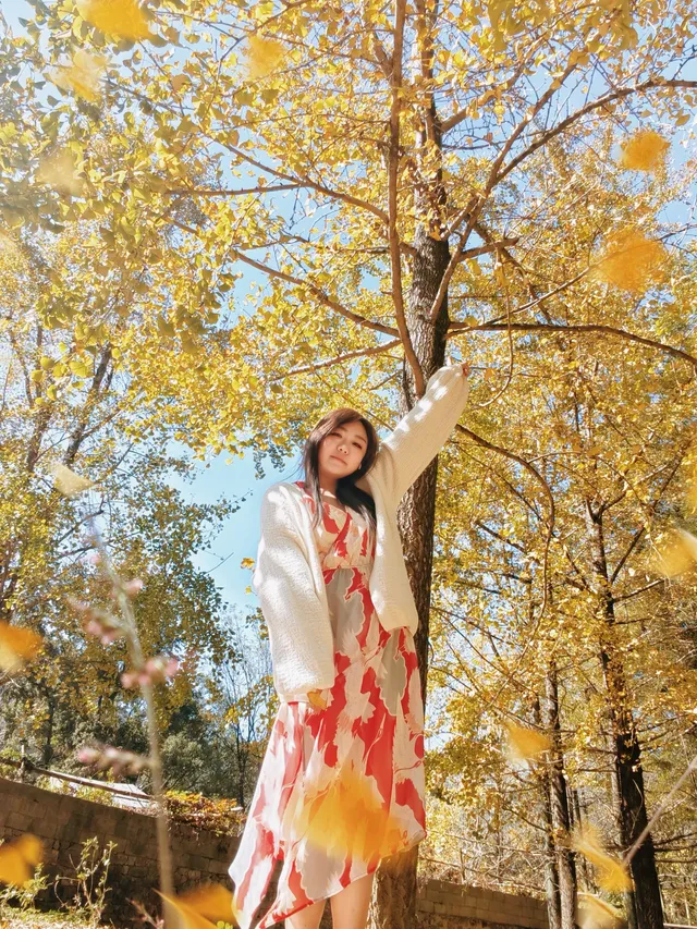 我的廣西北海 涠洲島 桂林 陽朔之旅