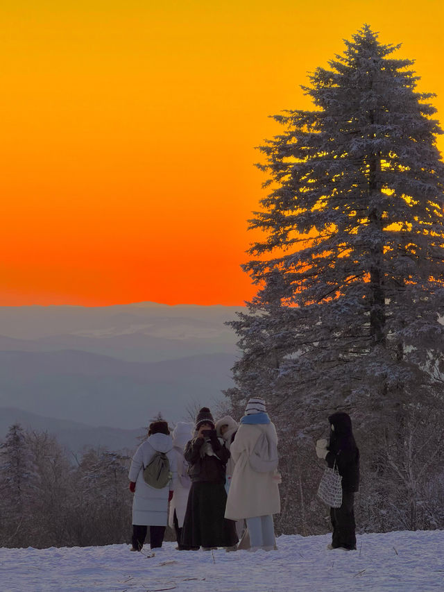 12.8|長白山日落live美得我要暈過去!!!!! 12.8|長白山日落live美得我要暈過去!!!!!