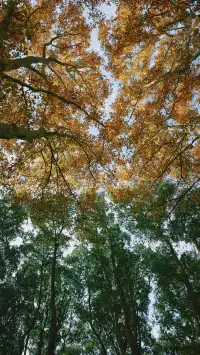 11.30植物園還是那麼有性價比 ＼(*T▽T*)／