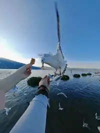 我在騰衝“騰騰震”,差點去了緬甸