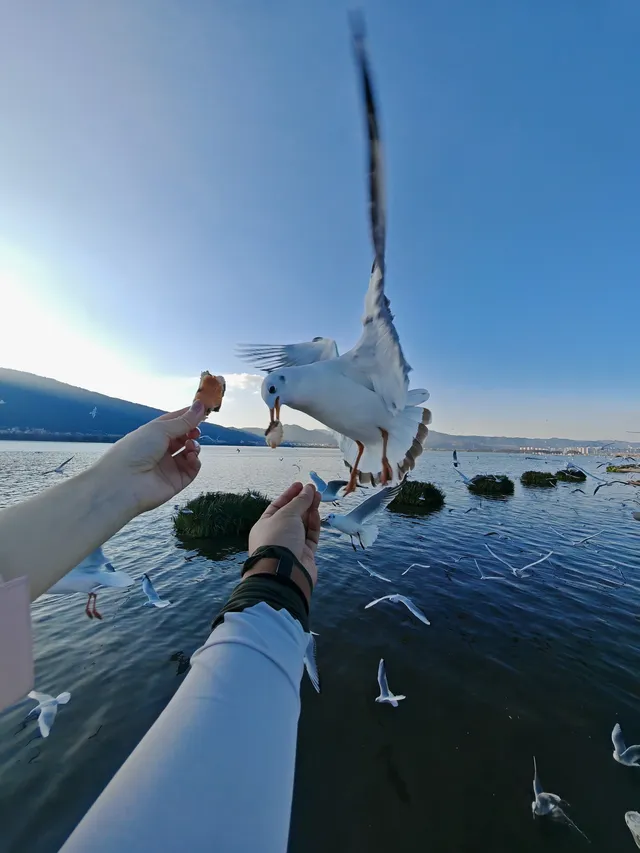 我在騰衝“騰騰震”,差點去了緬甸 我在騰衝“騰騰震”,差點去了緬甸