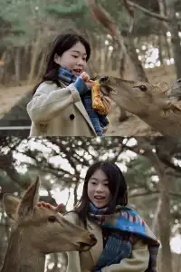 淡季大連的氛圍感也太絕了(含機位)