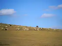 景點小評測——烏蘭布統