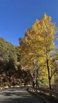 滬滸湖 你美！來瀘滸湖真的不用做太多攻略